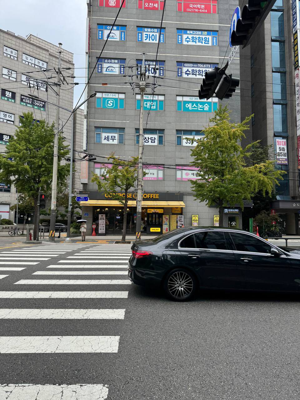 횡단보도 건너편 건물 창문에 카이, 대입, 에스논술, 세무 상담 간판이 줄지어 붙어 있고 은행나무 가로수 사이로 보이는 사거리 풍경